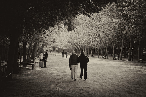 Couples in the Luxembourg Gardens
