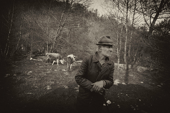 Romanian Herder