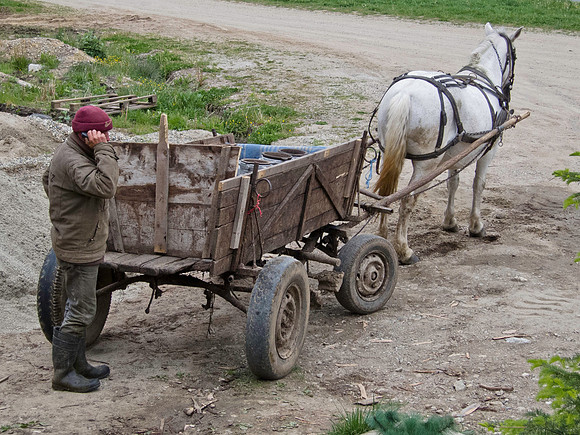 Romanian Milkman