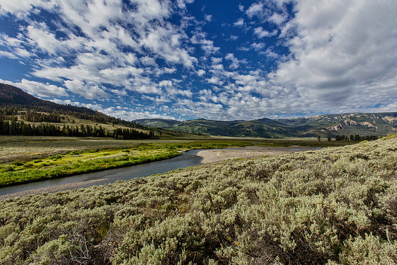 Lamar Valley - Yellowstone National Park