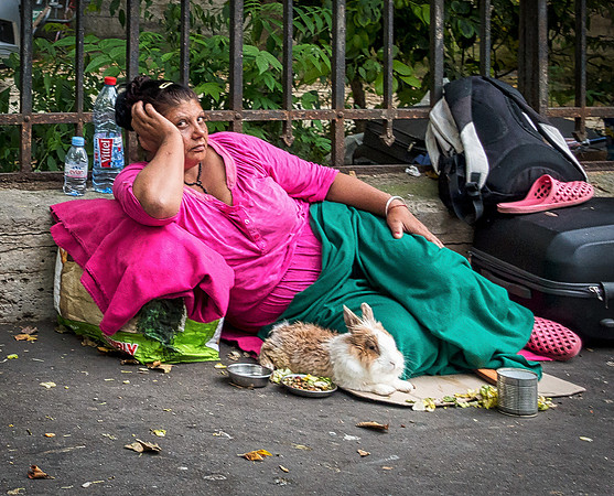 Paris - Panhandler