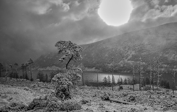 Scotland