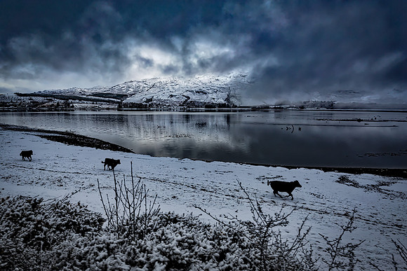 Scotland
