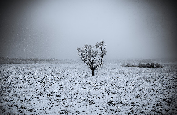 Scotland