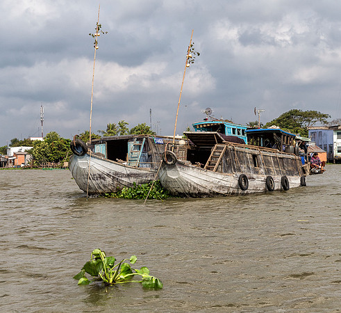 Mekong River, Vietnam