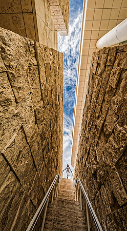 Lori Descending - Getty Museum, Los Angeles, California