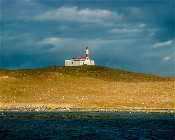 Lighthouse on Magdalena Island with Penguins