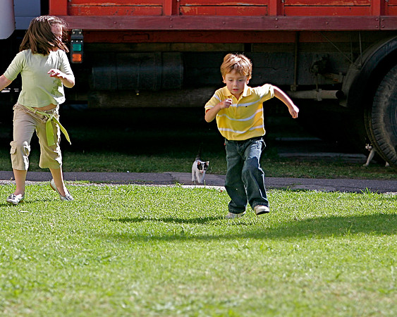 Kids Fleeing Cats