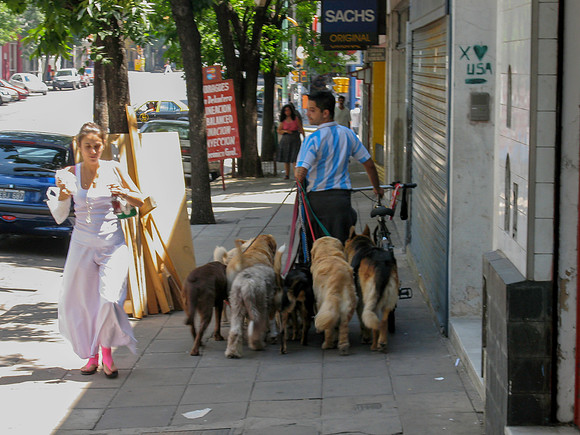 Dog Walker and Girl
