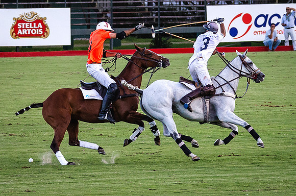 Polo - Buenos Aires