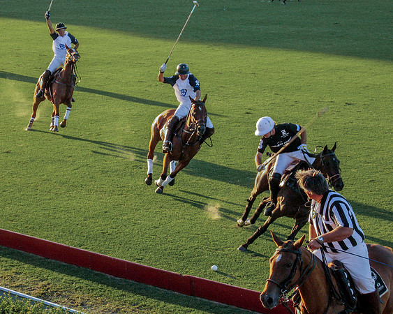 Polo Chanpionship