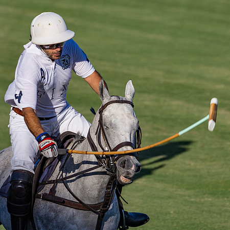 Polo - Buenos Aires
