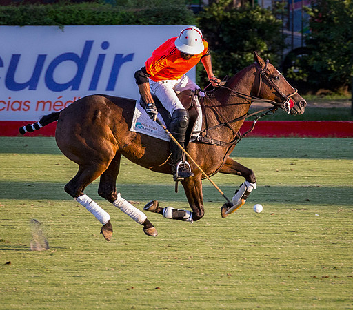 Polo - Buenos Aires