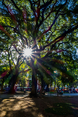 Belgrano Square - Buenos Aires