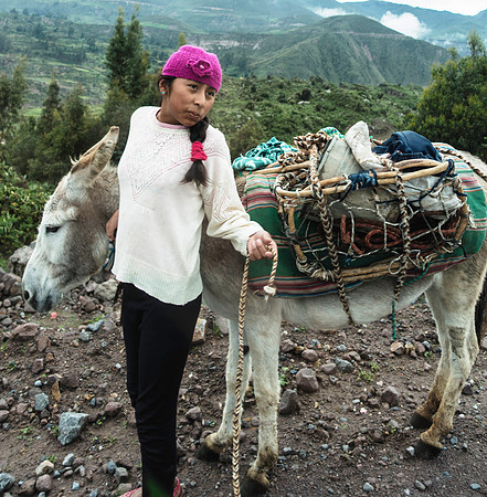 Peru - Colca Canyon