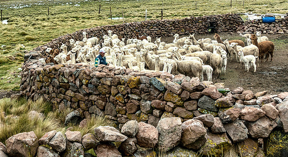 Peru