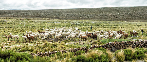 Peru