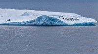 Iceberg with Penguins and Seal 8