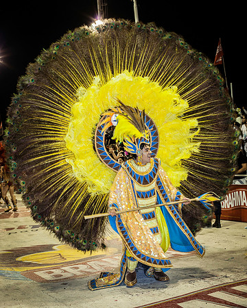 Carnival 15
