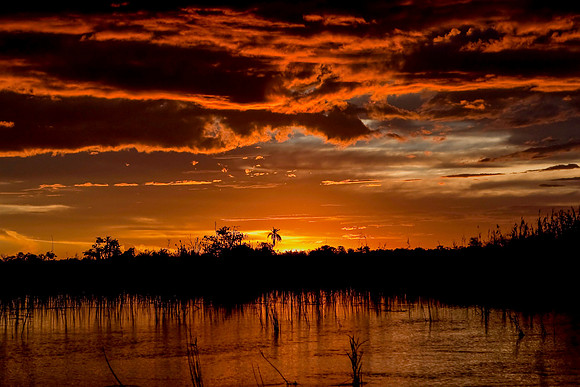 Sunset - Okavango Delta