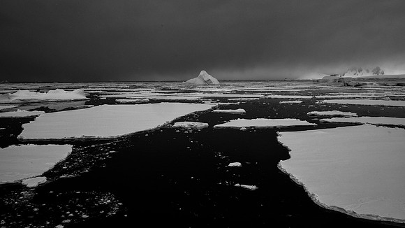 Ice Flows